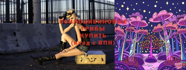 герыч Арсеньев