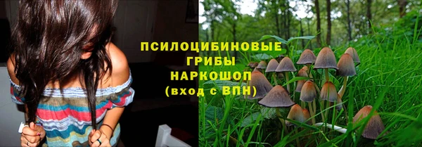 герыч Арсеньев