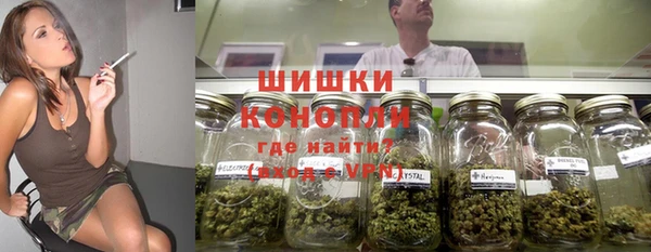трава Армянск