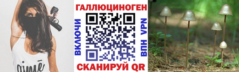 гидра tor  Ленск  Галлюциногенные грибы Psilocybine cubensis 